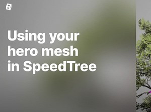 SpeedTree 10: Using your Hero Mesh 使用你的独特模型