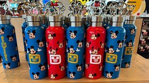 Stay Hydrated in Style with the New Mickey and Minnie Water Bottles! | Chip and Company