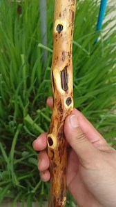 56K views · 805 reactions | Wood walking sticks making process. Wood carving. #fblifestyle #walkingstics #woodworking #woodcarving #walkingcane #woodcrafts | WoodArts | Facebook