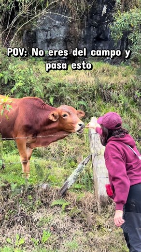 #humor #gracioso #fail #plotTwist #momentosincomodos | el toro