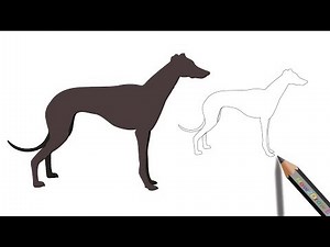 How to Draw a Great Dane Dog Easy Drawing - Coloring