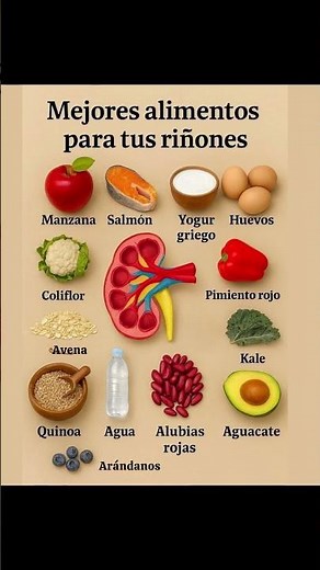 ¿Qué comer para tener riñones sanos? Descúbrelo aquí