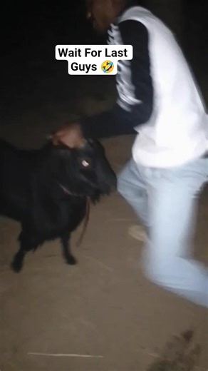 Ganja Power 🤣 Bakriyo se v lada de skta hai 💪