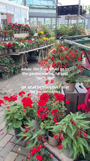 Visit the Garden Centre for Plant Shopping