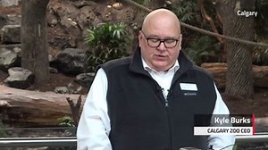 Calgary Zoo Revamping Asia Exhibit