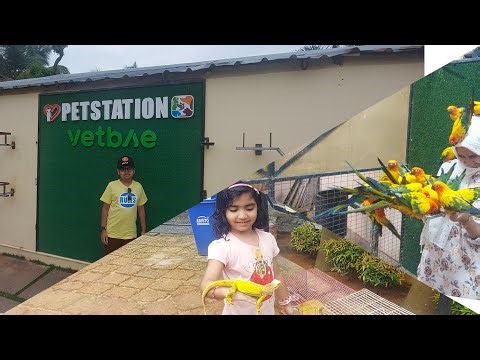 Mattool Pet Station Trip || Must Visit Destination Kannur
