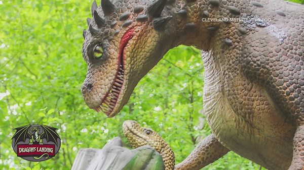 Cleveland Metroparks Zoo announces arrival of animatronic dragons set for debut in May: Welcome to 'Dragons Landing'