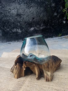 Glass Wood Terrarium, Glass Vase on Root Wood, Large Terrarium Glass Vase Bowl on Root Wood Hand Blown Recycled Glass, Succulent Planter - Etsy