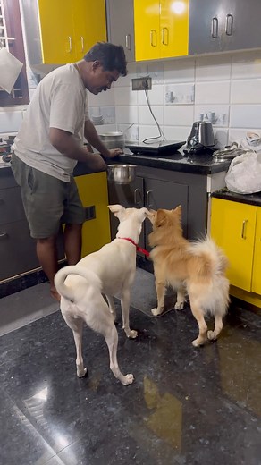 70K views · 3K reactions | Always Appa❤️ | Jehis Vlogs | Facebook