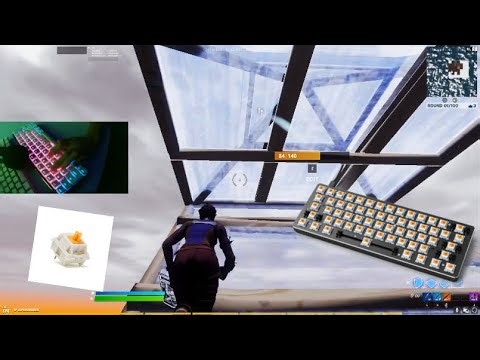 Glorious Panda Switches ASMR Chill 😍 4k 60FPS