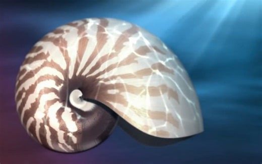 Nature By Numbers(大自然是一位天才的数学家)