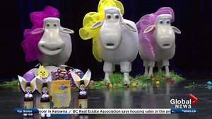 28K views · 156 reactions | The competition was intense this morning during the Global Easter Egg Roll! | Global BC | Facebook