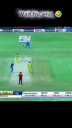 Funny cricket shorts 😅 #cricketshorts #shortvideo #cricket #shorts