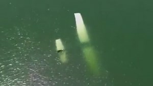Flight expert shares reaction to pilot landing small plane in Lady Bird Lake