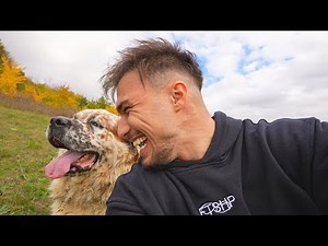 I'M WALKING WITH BERNI THROUGH THE FOREST 🐶