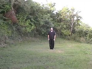 Learn Shaolin Kung Fu - Combination Form