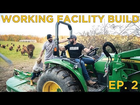 Building A Working Facility For Our Bison Farm EP.2 // Adding 3 Bison BULLS To The Herd