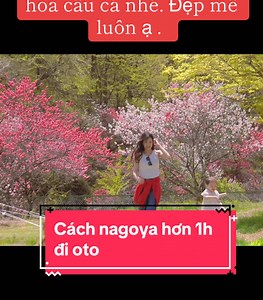 Địa điểm ko thể hót hơn dịp lễ #xuhuong #tiktokindia #vietnam #trending #CapCut #trending #ilovetravel #sakae