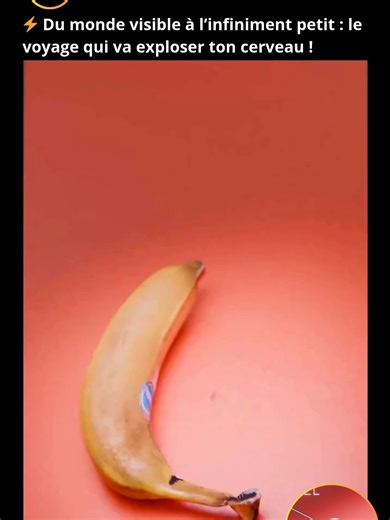 ⚡ Du monde visible à l’infiniment petit : le voyage qui va exploser ton cerveau ! Prépare-toi à traverser toutes les échelles de l’univers… jusqu’au cœur même de la matière. Les acariens que l’on voit ramper sur un grain de sel sont en réalité plus grands que 10 000 transistors alignés côte à côte. La vidéo effectue un zoom impressionnant : d’une banane jusqu’à une seule molécule de glucose, en traversant toutes les dimensions connues de notre monde. Un cheveu humain rend un acarien presque minu