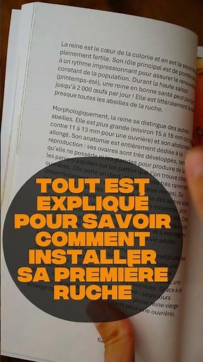 Comment débuter en apiculture !