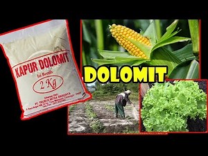 Gunakan Dolomit agar Tanah&Tanaman kembali subur & sehat ! How Dolomite work to Fertile Soil?