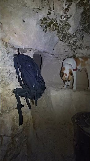 Surviving Deep Snow with My Dogs | Silent Off-Grid Winter Camping (Nature ASMR)