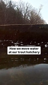 2K views · 724 reactions | Depending on stocking densities of each...