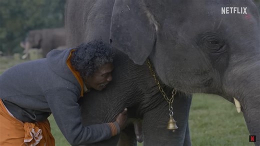 Oscar Winner 'The Elephant Whisperers' to Be Screened at Goa Environmental Film Festival