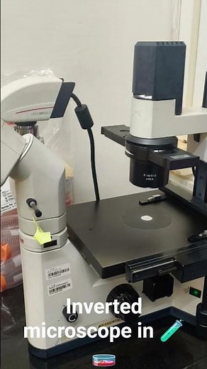 #microscope # inverted microscope #what is inverted microscope #how to use inverted microscope