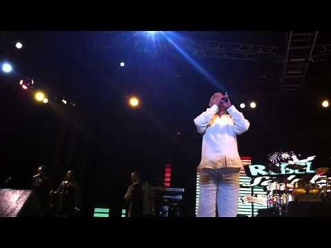 Pluto Shervington - Ram Goat Liver (live at Rebel Salute 2013)