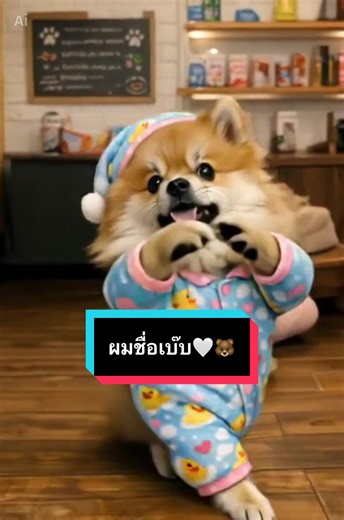 #เทรนด์วันนี้ #ปอมเมอเรเนียน #สัตว์เลี้ยงtiktok #หมาตลก #หมาน่ารัก สวัสดีครับผมชื่อเบ๊บๆครับเรียกชื่อไม่ค่อยมาครับชอบแอบหลับกับทำหูทวนลมจะมาเฉพาะแม่ให้ขนมครับผมชอบกินมากเลยครับ🤍🐻