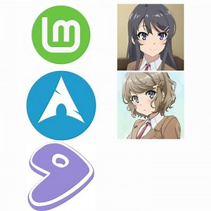 Average normal Linux user: #archlinux #linux