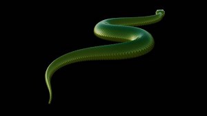 Slithering Green Snake - Ground Cycle Loop - Alpha Channel - Back Side Angle Close Up - Realistic naturalistic 3D animation of serpent creature for your adventure, fantasy, horror and Halloween