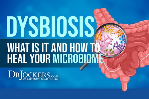 Dysbiosis: What is It and How to Heal Your Microbiome