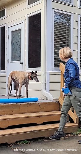 36K views · 295 reactions | We're thrilled to share the big news: our...