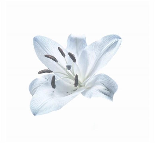 How to Perfect Your GRWM Routine on Roblox