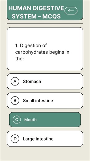 Digestive System MCQs | Important Questions for GNM & Nursing Exams 🩺📚 #viralvideo #mcqsolutions
