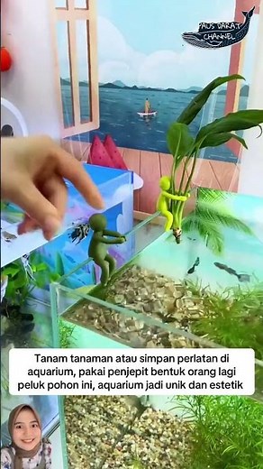 Aquarium accessories #fish #ornamentalfish #fish #aquascape #aquarium #fyp #funny #pets #pet #ani...