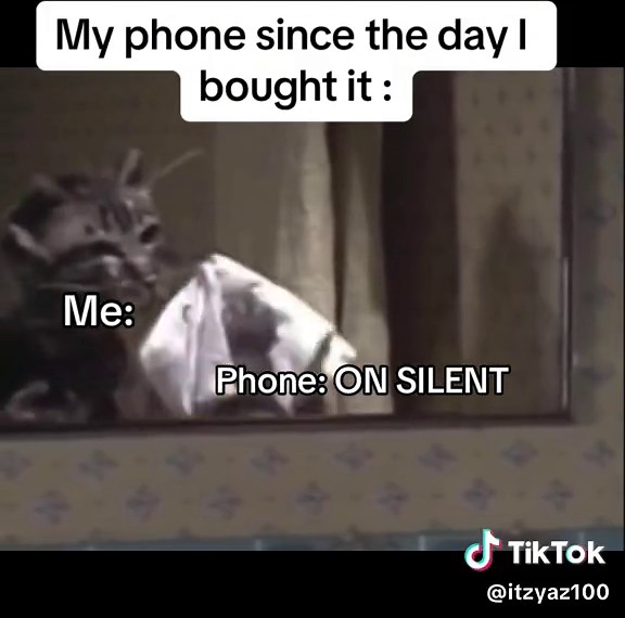 Phone on Silent Meme: Funny TikTok Trend with Friends