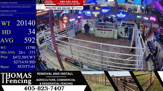 1/20/2026 -Calf & Yearling Auction 📌 Bid Online: www.dvauction.com | www.lmaauctions.com 📍 Live today from Beaver County Stockyards – Beaver, Oklahoma. Join us for the cattle auction and follow along with the action right here. For Questions: https://www.beaverstockyards.com For Advertising Info: https://www.bluestemdigital.com #CattleAuction #LivestockSale #BeaverCountyStockyards #OklahomaAg #AuctionLive #BluestemDigital | Beaver County Stockyards