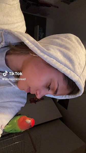 Non so perche ma penso mi odi ahahahah #fypシ #pappagallo