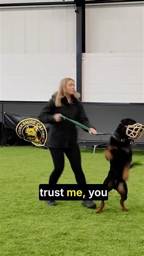 Can You Control Your Full-Grown Rottweiler?