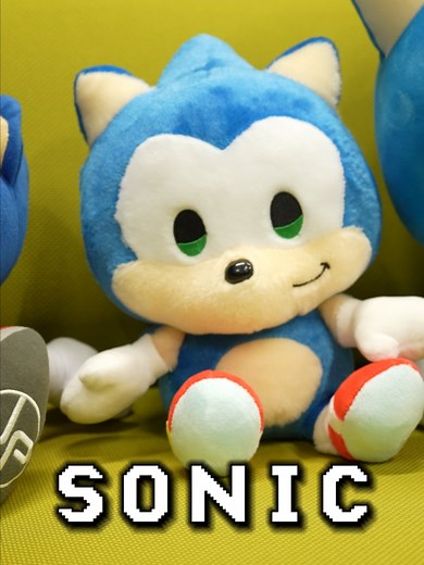 Sonic vs Sonic: Epic Showdown Explained