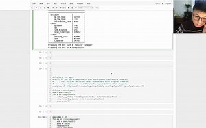 控制登月器的降落06 - DQN Agent的初步训练