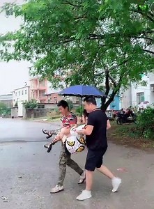 2.4M views · 10K reactions | Daily funny situations! Humorous situations 2020 | Lity life | Facebook