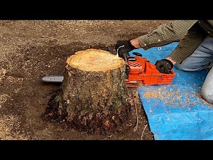 DIY Tree and Stump Removal with an Echo Chainsaw – Part 2