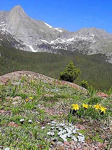 Natural Features & Ecosystems - Great Sand Dunes National Park & Preserve (U.S. National Park Service)