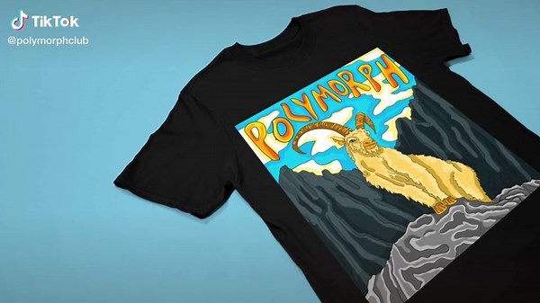 Polymorph on TikTok