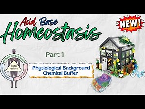 ⚖️Acid Base Homeostasis 🏡1 :⭕ Physiological Background... 🧪Chemical Buffer