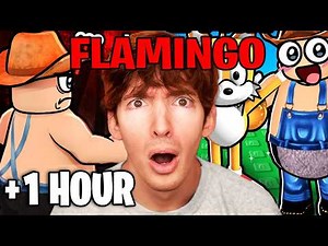 1 Hour of Flamingo Videos